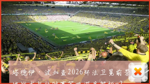 塔德伊·波加查2026环法卫冕前景爬坡战术与计时赛策略深度解析