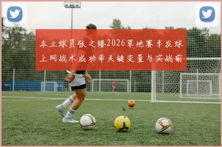 本土球员张之臻2026草地赛季发球上网战术成功率关键变量与实战前景